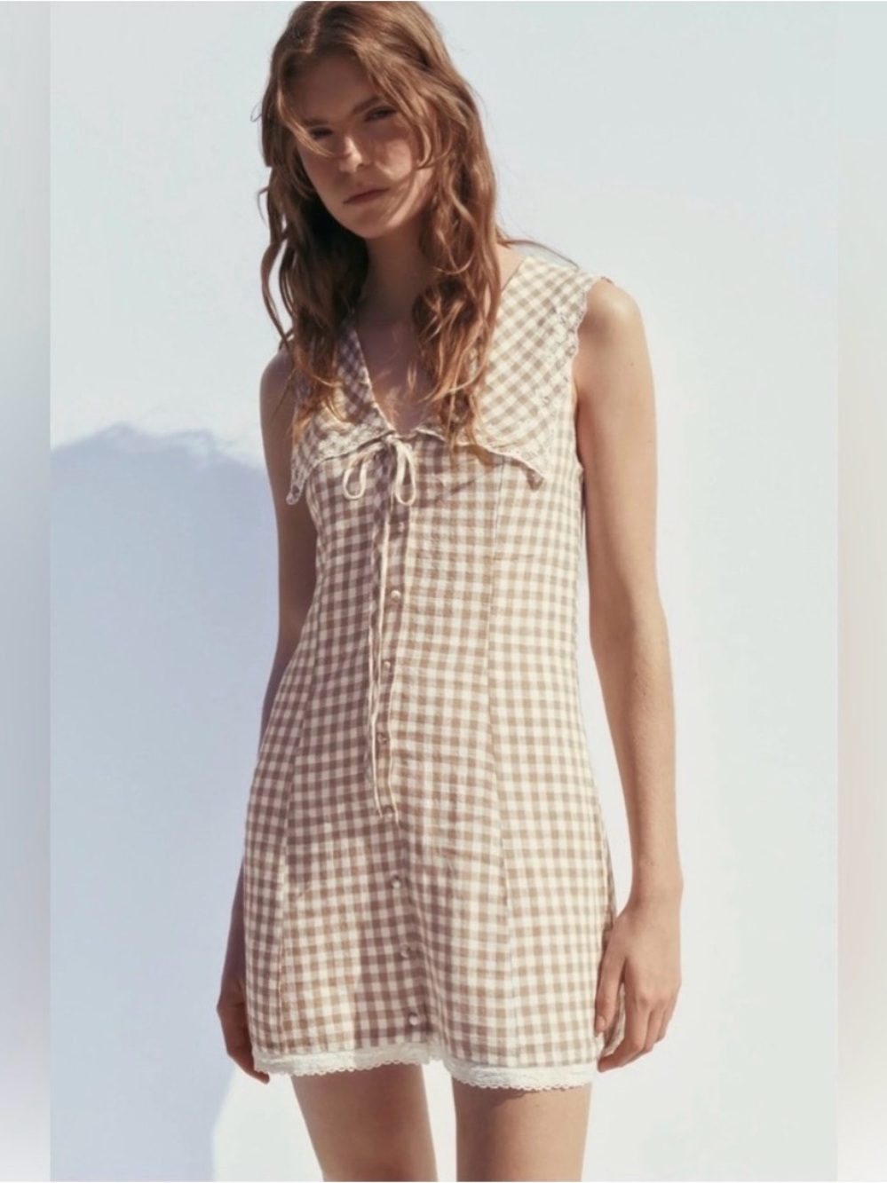 Nwot ZARA Tan Gingham Lace Lined Sleeveless Dress Size Xs
Prairie Country